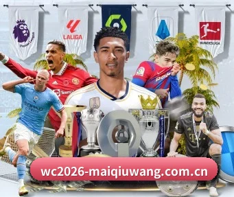 wc2026-maiqiuwang.com.cn APP